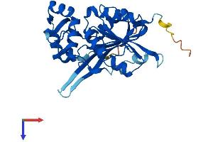 AlphaFold protein structure predicition of Human Recombinant METTL6 Protein, UniprotID Q8TCB7