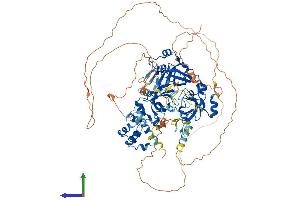 AlphaFold protein structure predicition of Mouse Recombinant L3mbtl3 Protein, UniprotID Q8BLB7