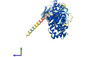 AlphaFold protein structure predicition of Human Recombinant RHOT2 Protein, UniprotID Q8IXI1