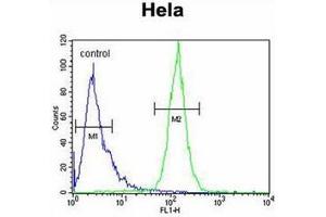 Formalin-fixed and paraffin-embedded human brain tissue reacted with PPIC Antibody (Center) followed which was peroxidase-conjugated to the secondary antibody, followed by DAB staining.