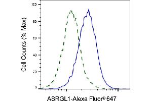 Validation of ASRGL1 knockdown using flow cytometry. (ASRGL1 anticorps)