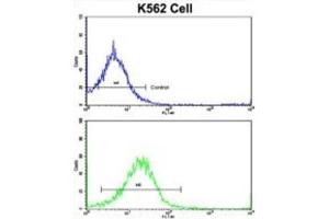 Flow Cytometry (FACS) image for anti-Unc-5 Homolog C (C. Elegans) (Unc5c) antibody (ABIN3002880) (Unc5c anticorps)