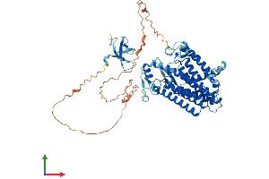 AlphaFold protein structure predicition of Human Recombinant LBR Protein, UniprotID Q14739