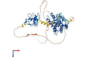 AlphaFold protein structure predicition of Human Recombinant RXRG Protein, UniprotID P48443