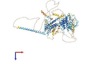 AlphaFold protein structure predicition of Mouse Recombinant Bub1b Protein, UniprotID Q9Z1S0