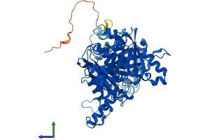 AlphaFold protein structure predicition of Human Recombinant CTPS1 Protein, UniprotID P17812
