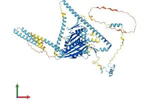 AlphaFold protein structure predicition of Mouse Recombinant Kif3b Protein, UniprotID Q61771