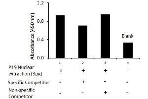 Transcription factor activity assay of Nanog from nuclear extracts of P19 cells with the specific competitor or non-specific competitor.