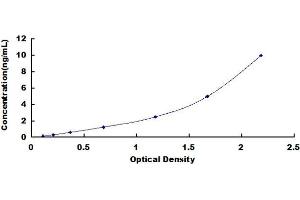 Typical standard curve (FAM193A Kit ELISA)