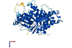 AlphaFold protein structure predicition of Human Recombinant TUBG1 Protein, UniprotID P23258