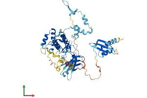 AlphaFold protein structure predicition of Mouse Recombinant Nrbp2 Protein, UniprotID Q91V36
