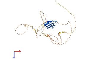 AlphaFold protein structure predicition of Human Recombinant RBFOX2 Protein, UniprotID O43251