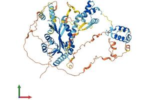 AlphaFold protein structure predicition of Mouse Recombinant Pogk Protein, UniprotID Q80TC5