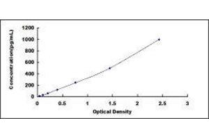 Typical standard curve