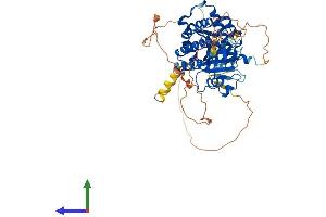 AlphaFold protein structure predicition of Mouse Recombinant Pip5k1a Protein, UniprotID P70182