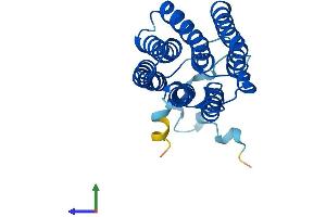 AlphaFold protein structure predicition of Mouse Recombinant Mmd2 Protein, UniprotID Q8R189