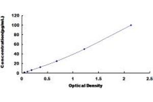 Typical standard curve