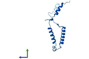 AlphaFold protein structure predicition of Human Recombinant MRPL57 Protein, UniprotID Q9BQC6