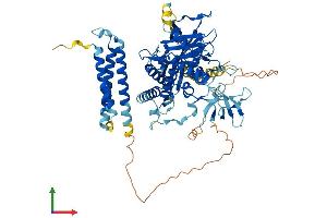 AlphaFold protein structure predicition of Mouse Recombinant Nphp1 Protein, UniprotID Q9QY53