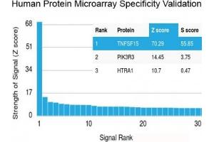 Analysis of HuProt(TM) microarray containing more than 19,000 full-length human proteins using recombinant TNFSF15 antibody (clone VEGI/2052R). (TNFSF15 anticorps)