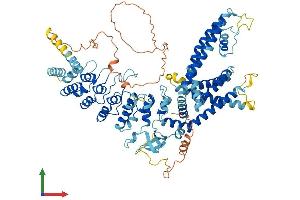 AlphaFold protein structure predicition of Mouse Recombinant Trpv3 Protein, UniprotID Q8K424