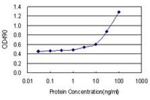 ICAM1 (Human) Matched Antibody Pair