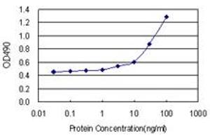 Sandwich ELISA detection sensitivity ranging from 10 ng/mL to 100 ng/mL. (ICAM1 (Humain) Matched Antibody Pair)