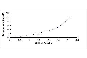 Typical standard curve (CLEC10A Kit ELISA)