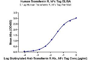Immobilized Human Transferrin R, hFc Tag at 1 μg/mL (100 μL/well) on the plate.