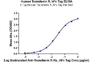 Immobilized Human Transferrin R, hFc Tag at 1 μg/mL (100 μL/well) on the plate. (Transferrin Receptor Protein (AA 89-760) (Fc Tag))