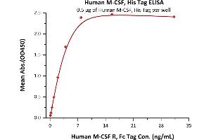 Immobilized Human M-CSF, His Tag (ABIN5674639,ABIN6253718) at 5 μg/mL (100 μL/well) can bind Human M-CSF R, Fc Tag (ABIN2180912,ABIN2180911) with a linear range of 0. (M-CSF/CSF1 Protein (AA 33-255) (His tag))