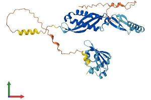 AlphaFold protein structure predicition of Human Recombinant STOML1 Protein, UniprotID Q9UBI4