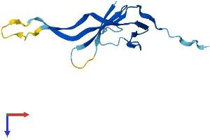 AlphaFold protein structure predicition of Human Recombinant CHTF8 Protein, UniprotID P0CG13