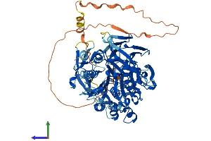 AlphaFold protein structure predicition of Human Recombinant PREPL Protein, UniprotID Q4J6C6