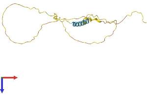 AlphaFold protein structure predicition of Mouse Recombinant Tceal3 Protein, UniprotID Q8R0A5