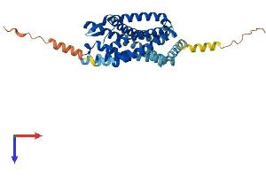 AlphaFold protein structure predicition of Mouse Recombinant Ccr1l1 Protein, UniprotID P51676