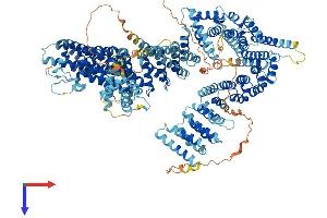 AlphaFold protein structure predicition of Mouse Recombinant Ncapd2 Protein, UniprotID Q8K2Z4