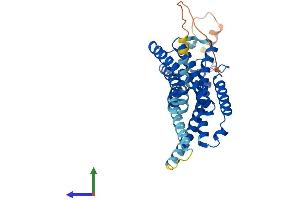 AlphaFold protein structure predicition of Human Recombinant CNR2 Protein, UniprotID P34972
