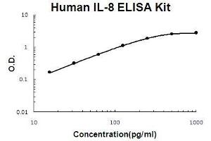 Human IL-8 PicoKine ELISA Kit standard curve