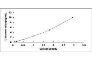 Glucagon-Like Peptide 1 Receptor (GLP1R) ELISA Kit