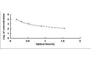 ELISA image for Growth Hormone 1 (GH1) ELISA Kit (ABIN4947629)