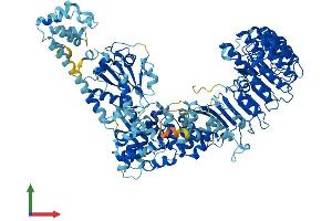 AlphaFold protein structure predicition of Mouse Recombinant Nlrp9b Protein, UniprotID Q66X22