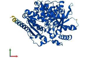 AlphaFold protein structure predicition of Human Recombinant THNSL2 Protein, UniprotID Q86YJ6