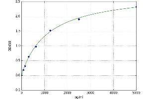 IMP (Inosine 5'-Monophosphate) Dehydrogenase 2 (IMPDH2) ELISA Kit