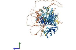 AlphaFold protein structure predicition of Human Recombinant WDR72 Protein, UniprotID Q3MJ13