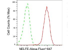 Flow cytometric analysis of NELFE expression in HepG2 cells using NELFE antibody (ABIN7800147), 1:2,000). (Recombinant RDBP anticorps)