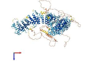 AlphaFold protein structure predicition of Mouse Recombinant Ncapd3 Protein, UniprotID Q6ZQK0