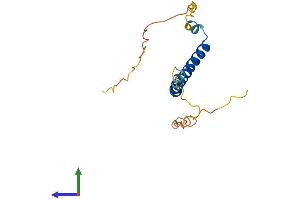 AlphaFold protein structure predicition of Mouse Recombinant Nap1l5 Protein, UniprotID Q9JJF0
