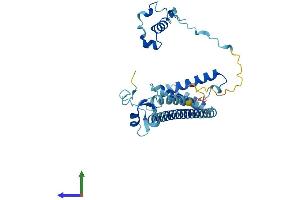 AlphaFold protein structure predicition of Mouse Recombinant Mnat1 Protein, UniprotID P51949