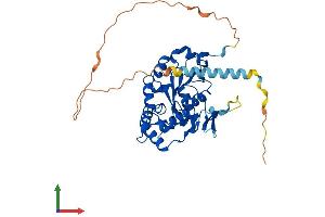 AlphaFold protein structure predicition of Mouse Recombinant Hs3st2 Protein, UniprotID Q673U1